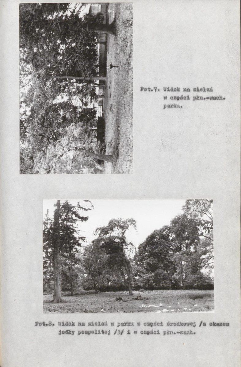 EP - Ewidencja parkowa, skan nr 43