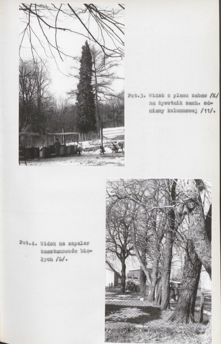 EP - Ewidencja parkowa, skan nr 29