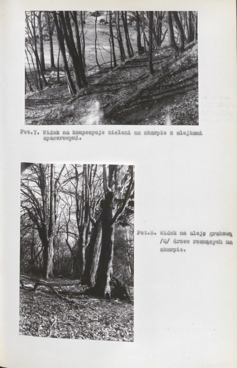 EP - Ewidencja parkowa, skan nr 31