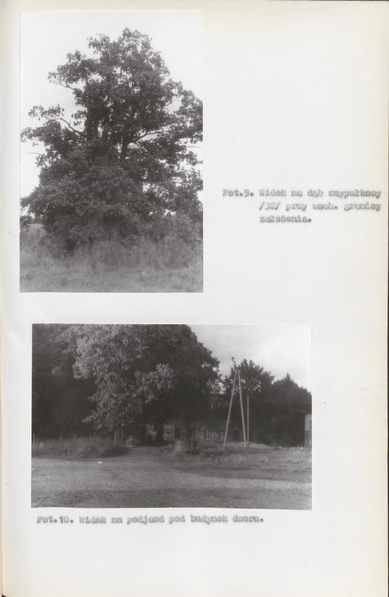EP - Ewidencja parkowa, skan nr 40