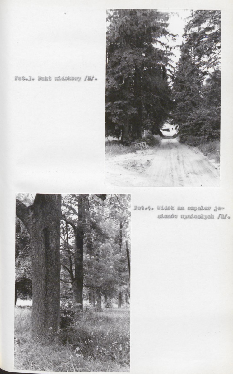 EP - Ewidencja parkowa, skan nr 29