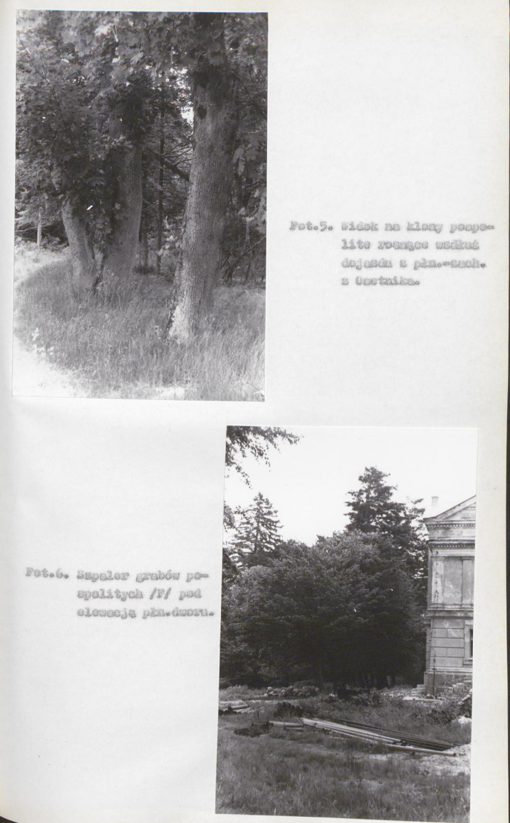 EP - Ewidencja parkowa, skan nr 30