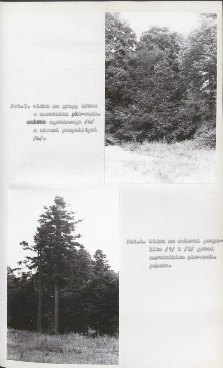EP - Ewidencja parkowa, skan nr 31