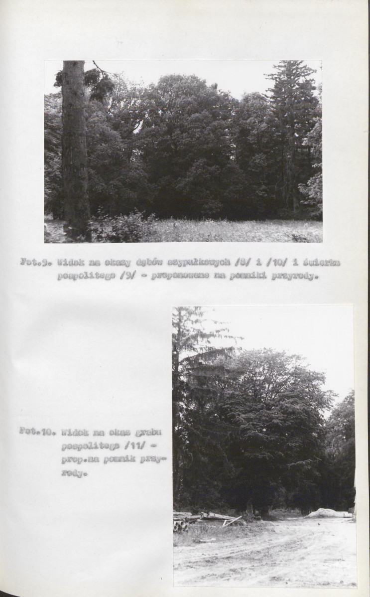 EP - Ewidencja parkowa, skan nr 32