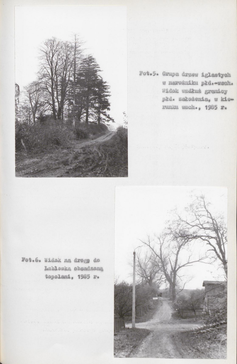 EP - Ewidencja parkowa, skan nr 29