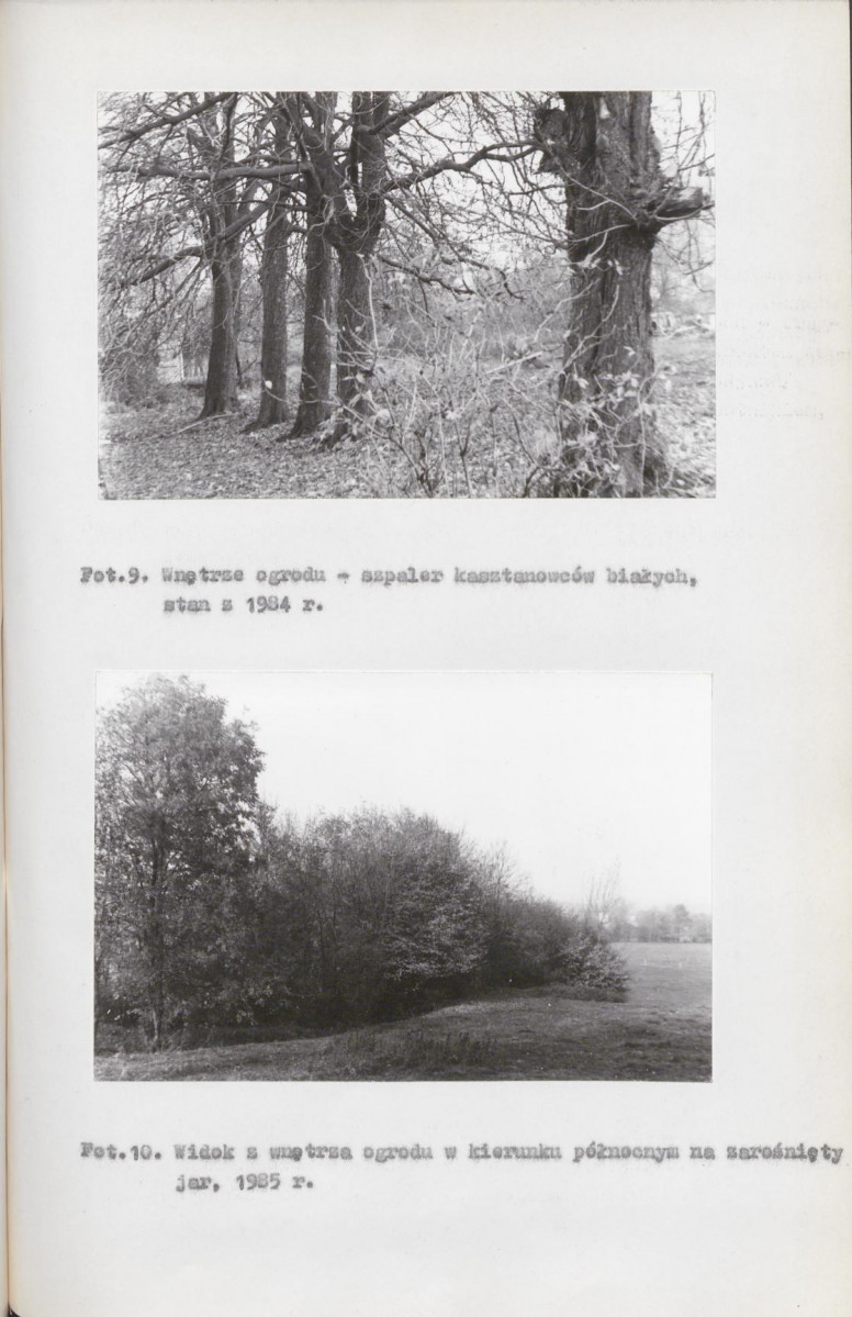EP - Ewidencja parkowa, skan nr 31