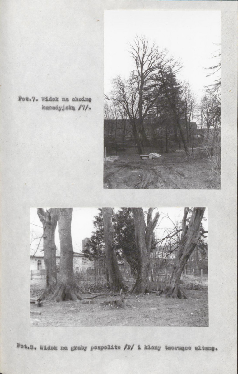EP - Ewidencja parkowa, skan nr 31