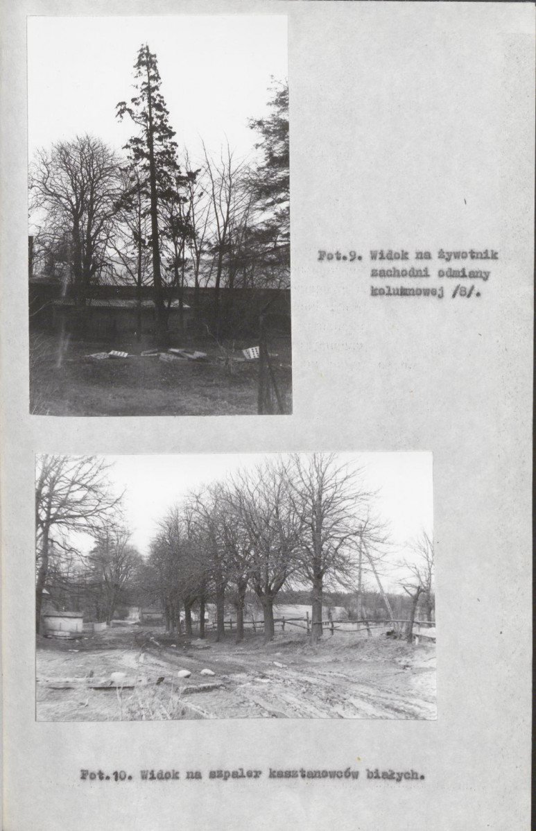 EP - Ewidencja parkowa, skan nr 32