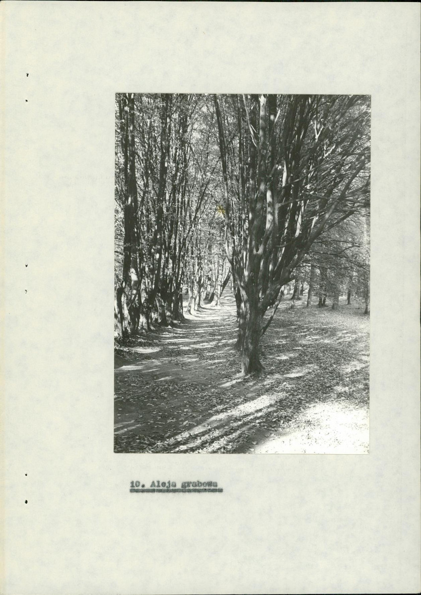 Ewidencja parkowa, skan nr 29