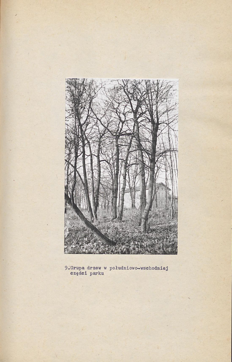 EP - Ewidencja parkowa, skan nr 36
