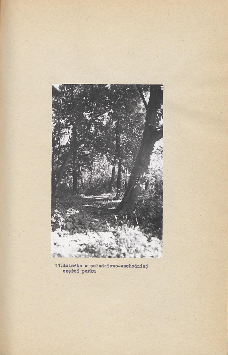 EP - Ewidencja parkowa, skan nr 38