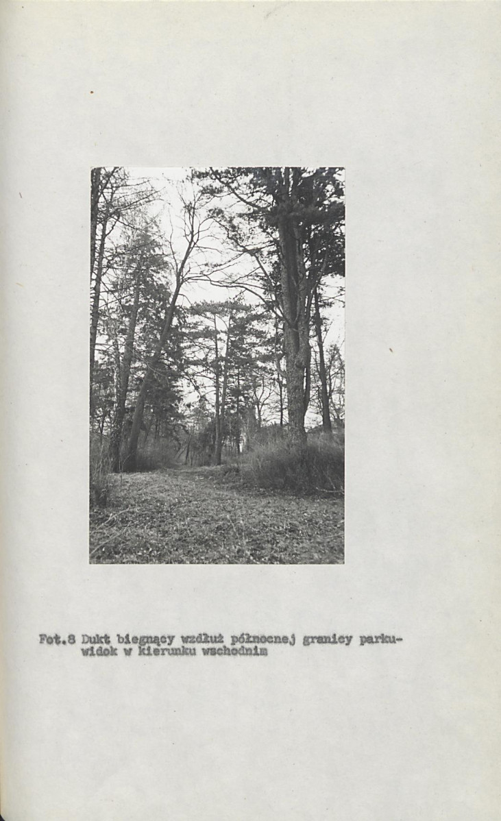 Ewidencja parkowa, skan nr 37