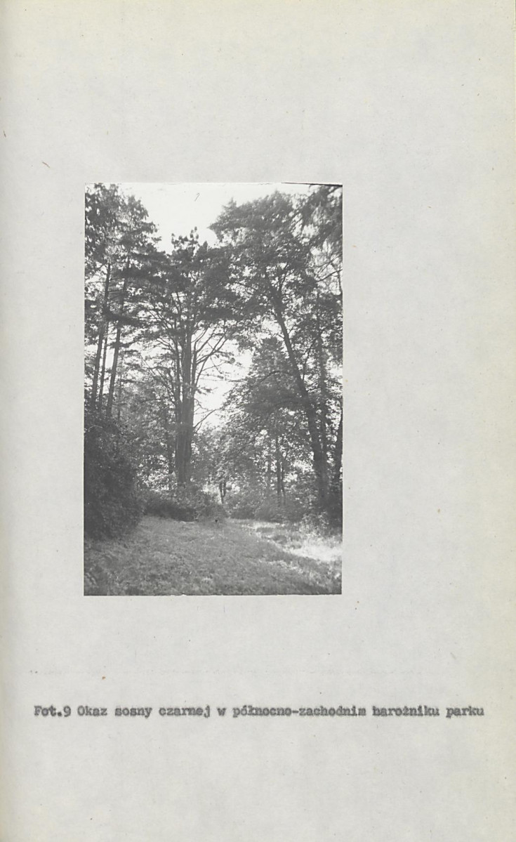 Ewidencja parkowa, skan nr 38