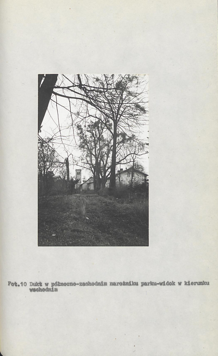 Ewidencja parkowa, skan nr 39