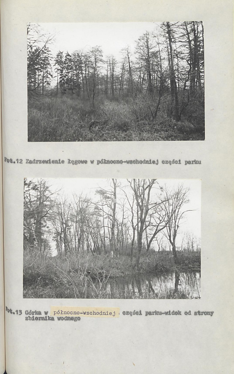 Ewidencja parkowa, skan nr 41