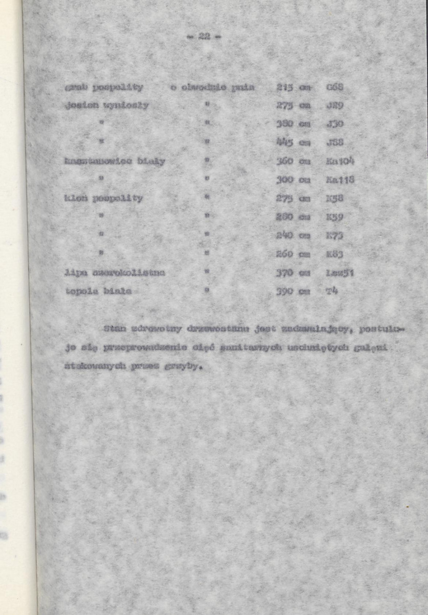 Ewidencja parkowa, skan nr 25