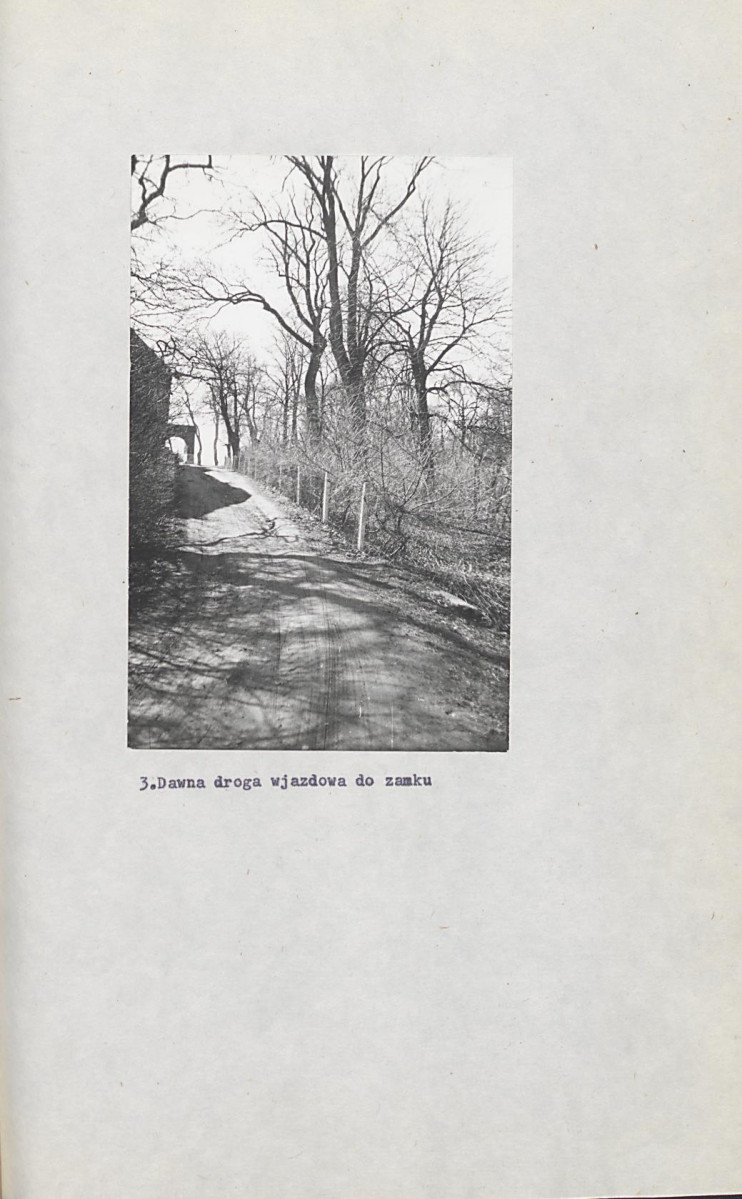 Ewidencja parkowa, skan nr 43