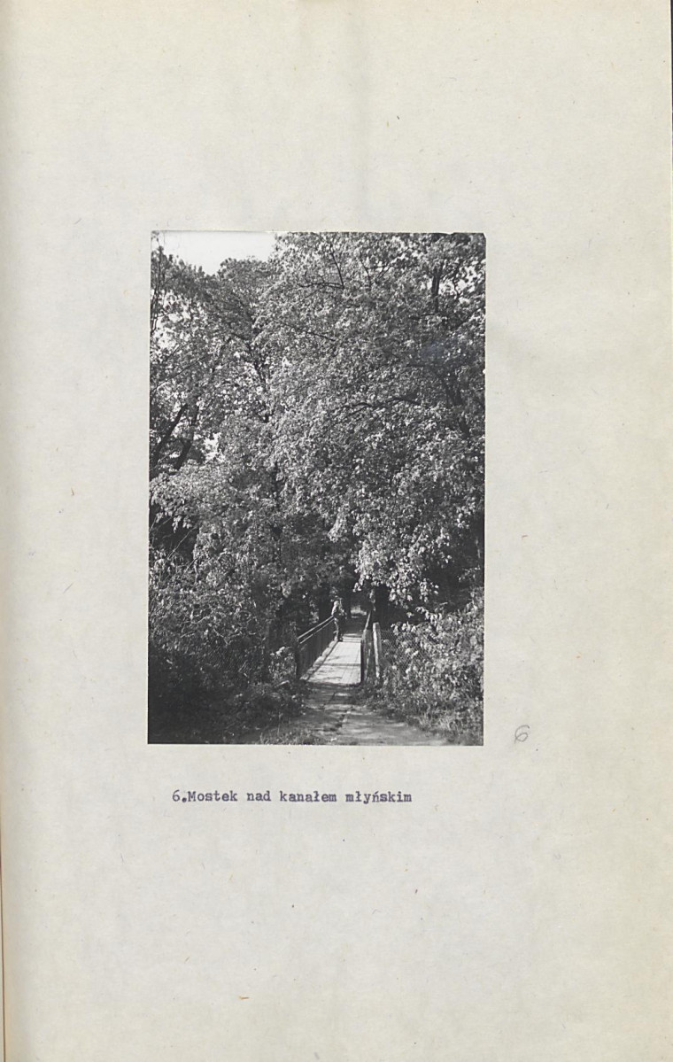 Ewidencja parkowa, skan nr 45