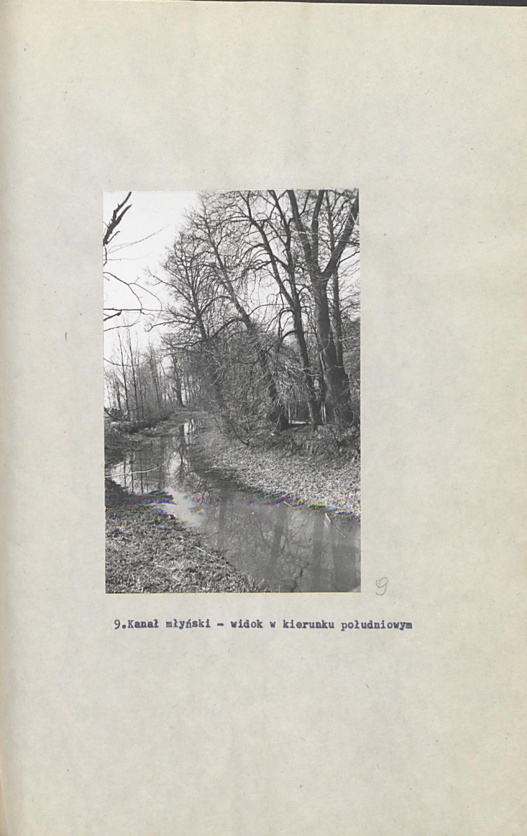 Ewidencja parkowa, skan nr 47