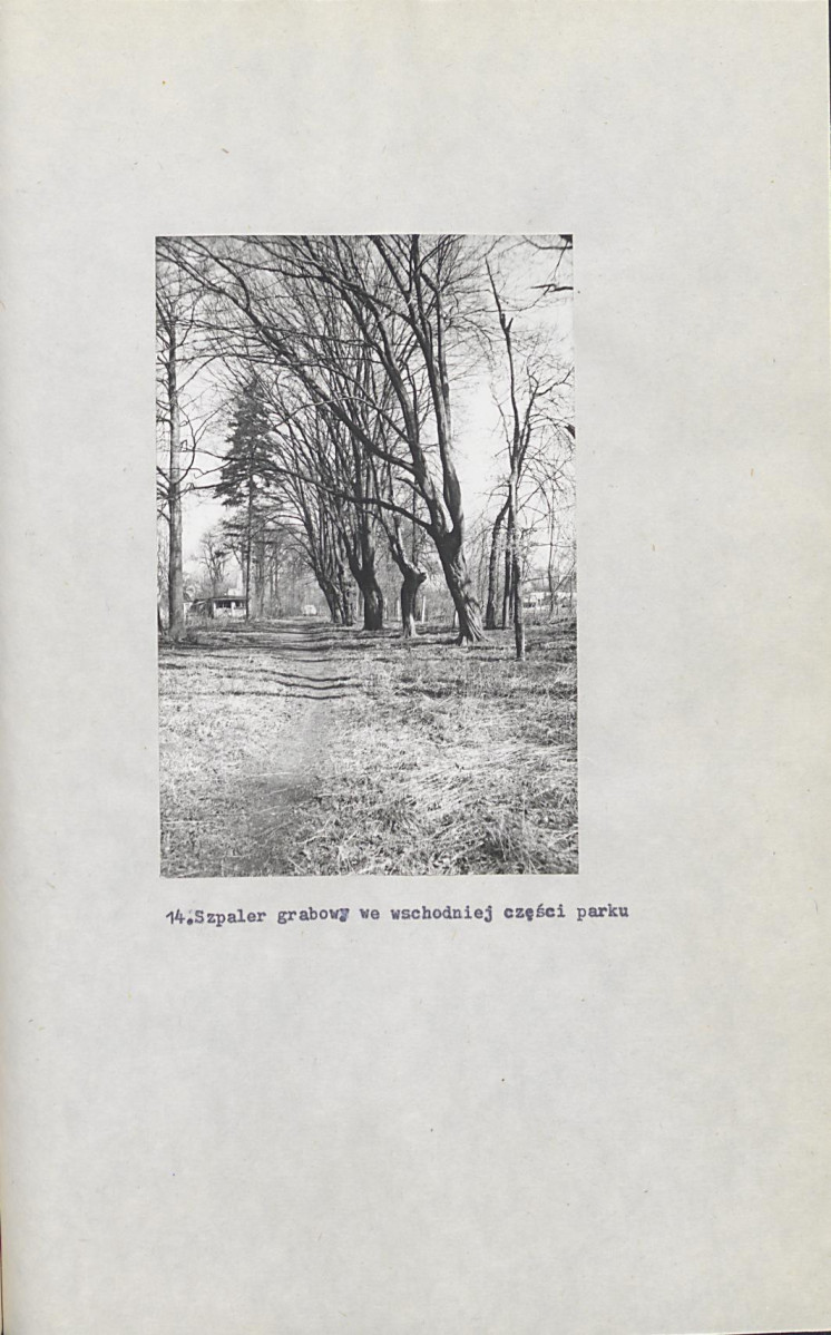 Ewidencja parkowa, skan nr 52