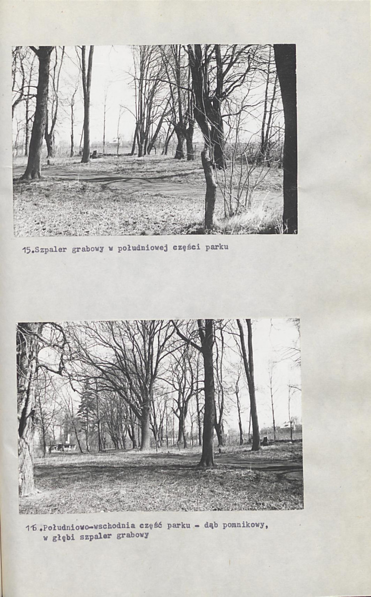 Ewidencja parkowa, skan nr 53
