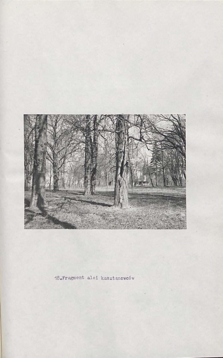 Ewidencja parkowa, skan nr 55