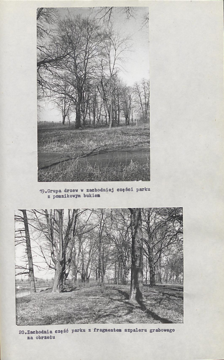 Ewidencja parkowa, skan nr 56