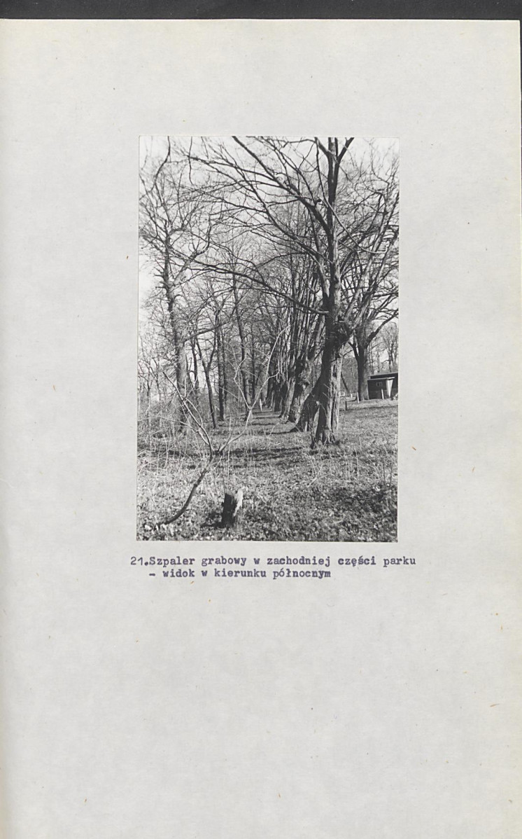 Ewidencja parkowa, skan nr 57