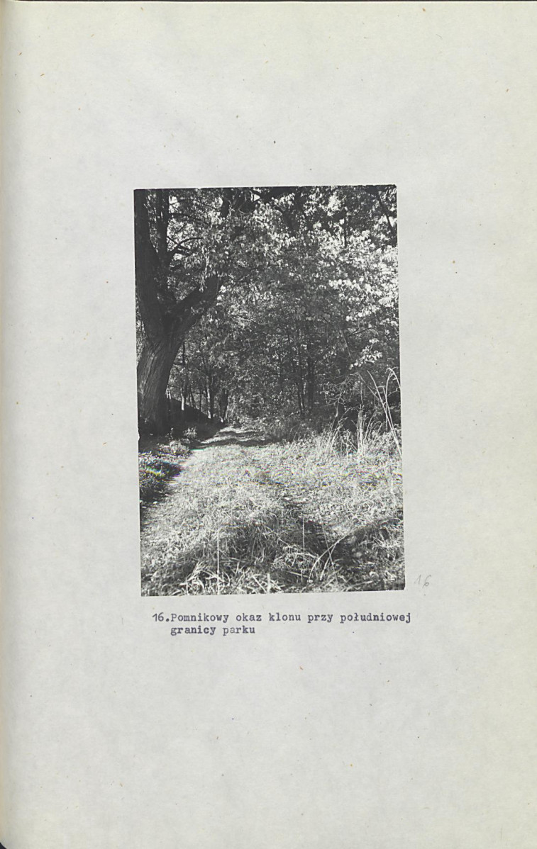 EP - Ewidencja parkowa, skan nr 44