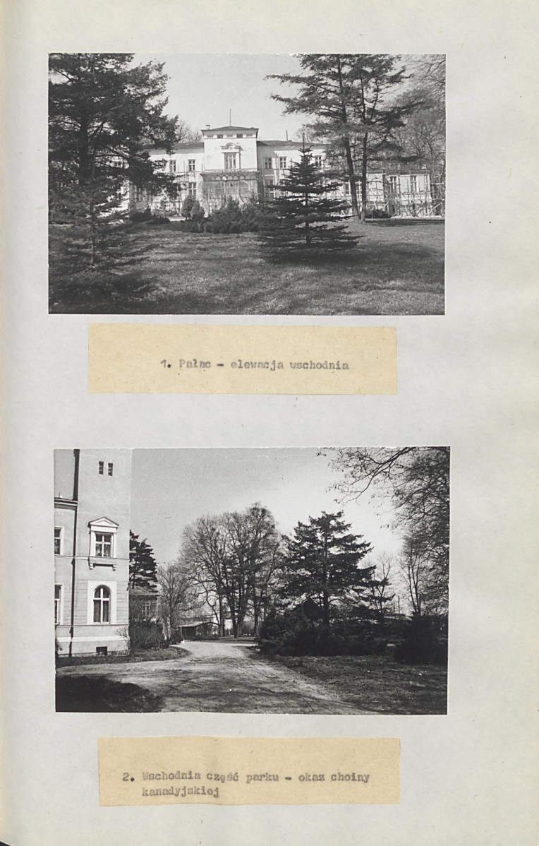 Ewidencja parkowa, skan nr 31
