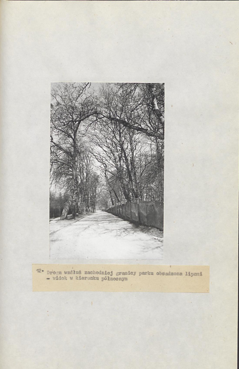 Ewidencja parkowa, skan nr 39