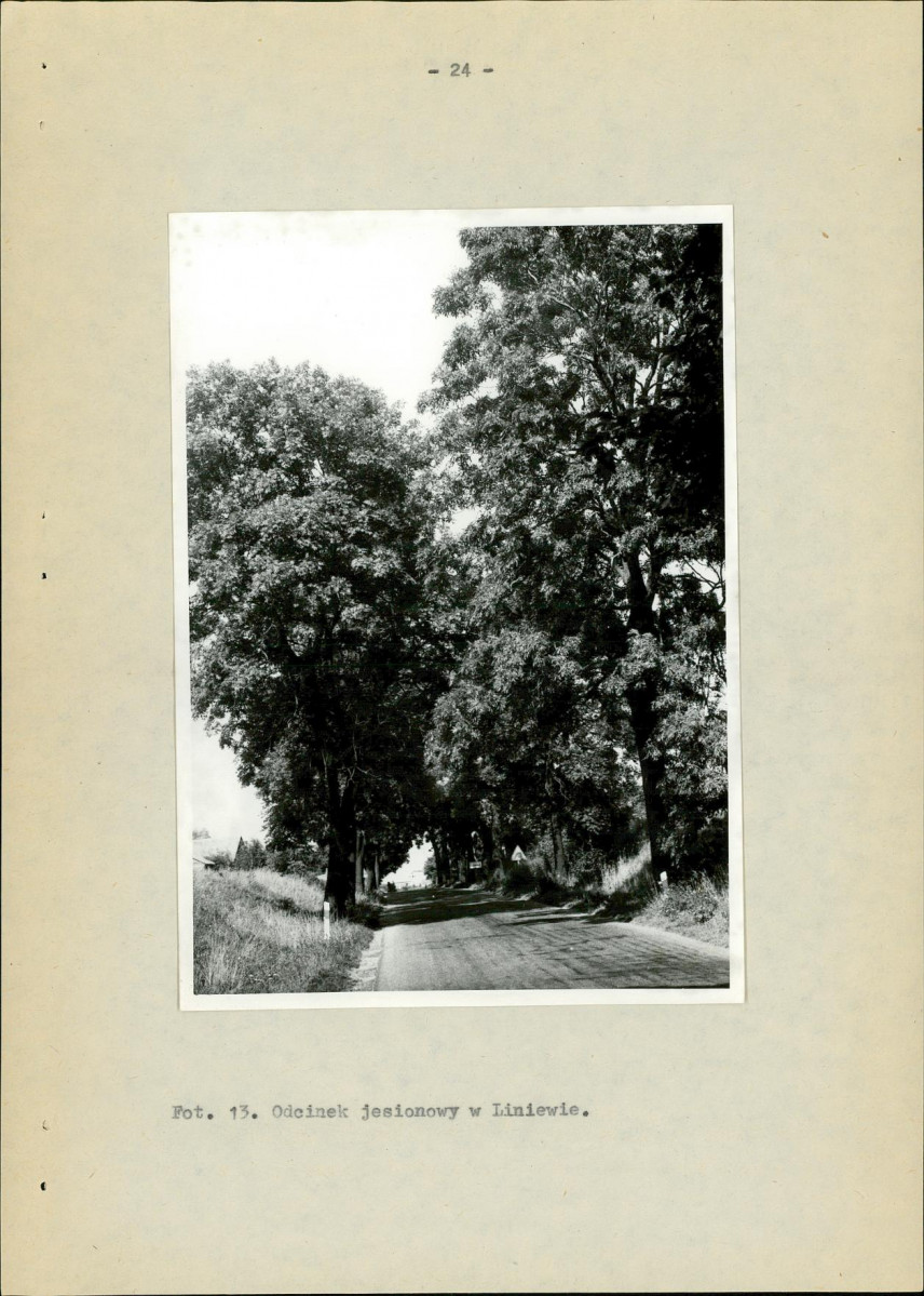Ewidencja parkowa, skan nr 30
