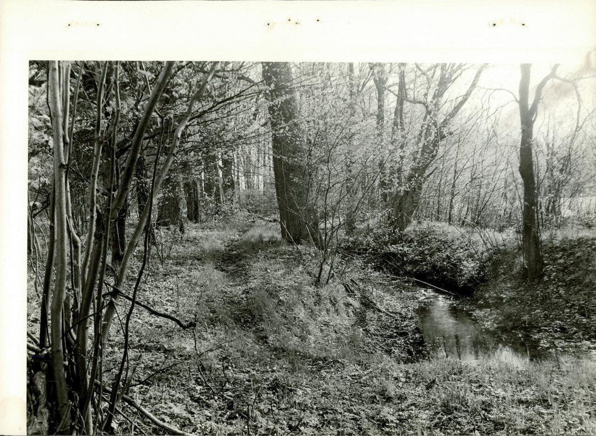 Ewidencja parkowa, skan nr 12