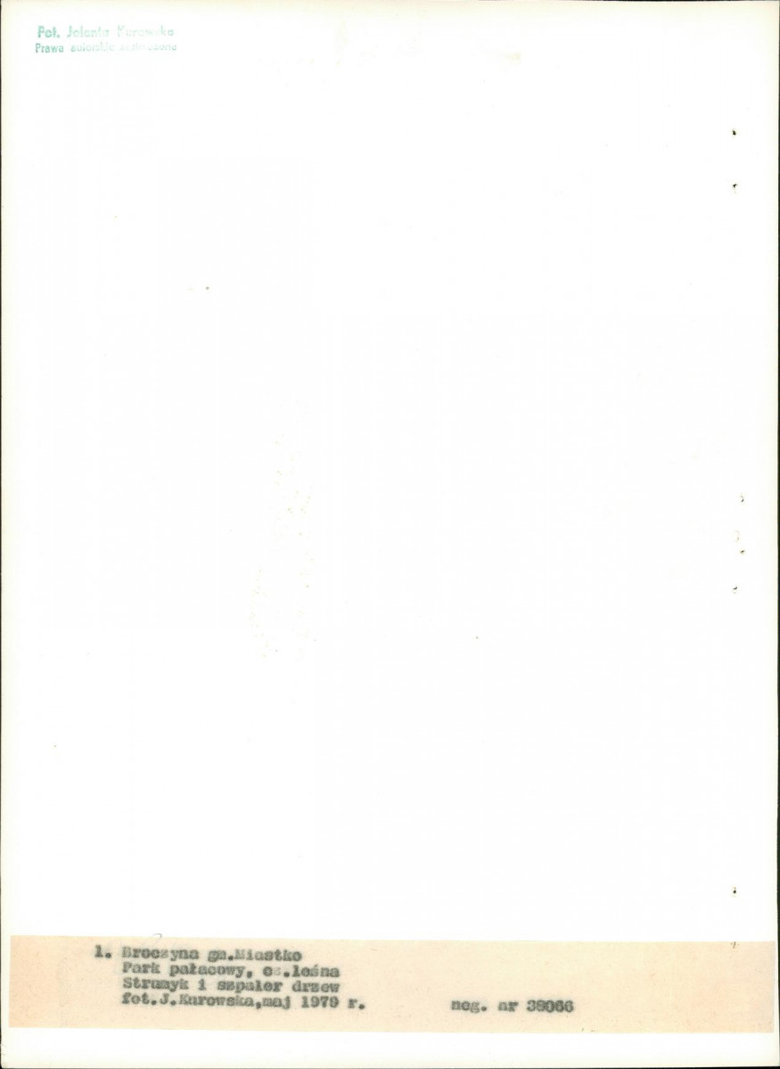 Ewidencja parkowa, skan nr 13