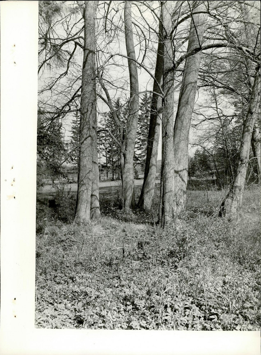 Ewidencja parkowa, skan nr 14