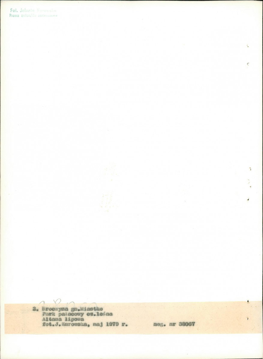 Ewidencja parkowa, skan nr 15