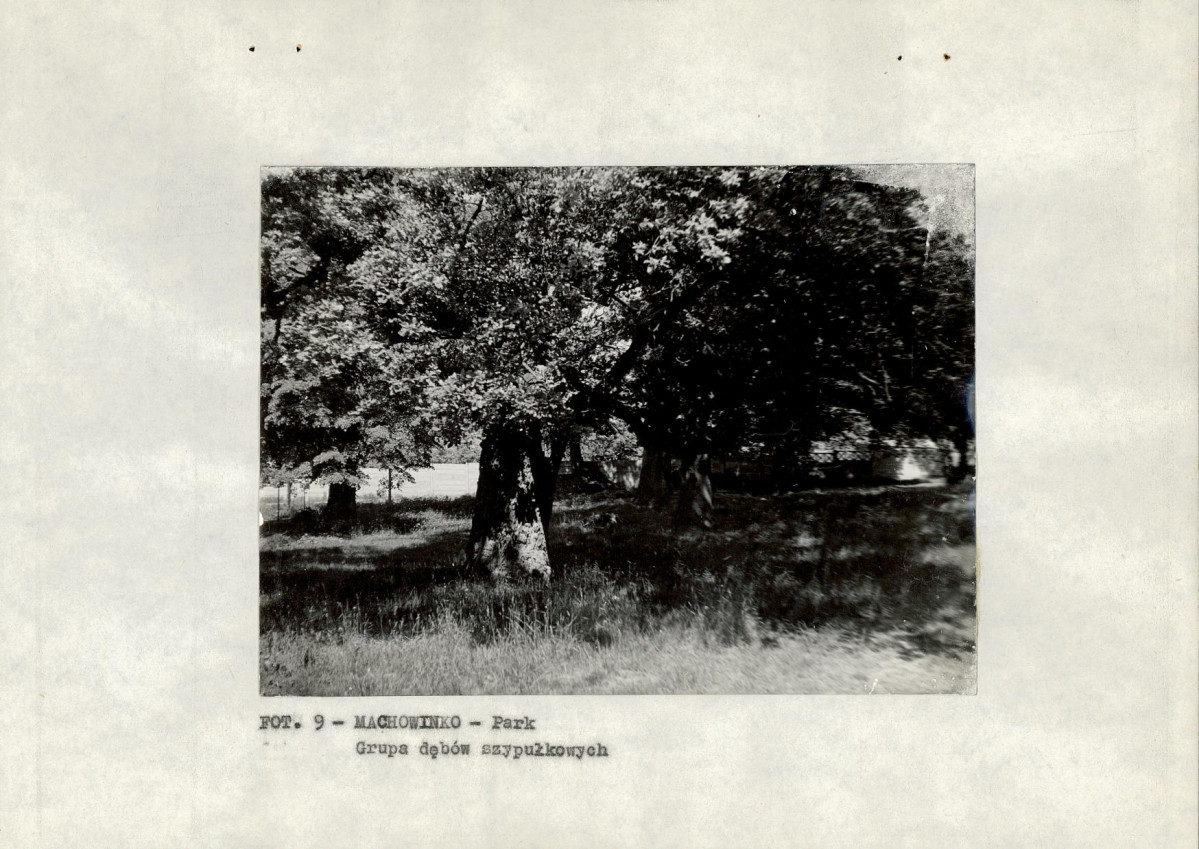 EP - Ewidencja parkowa, skan nr 19