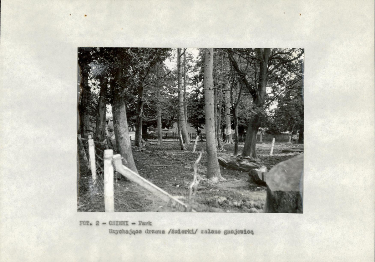 EP - Ewidencja parkowa, skan nr 12