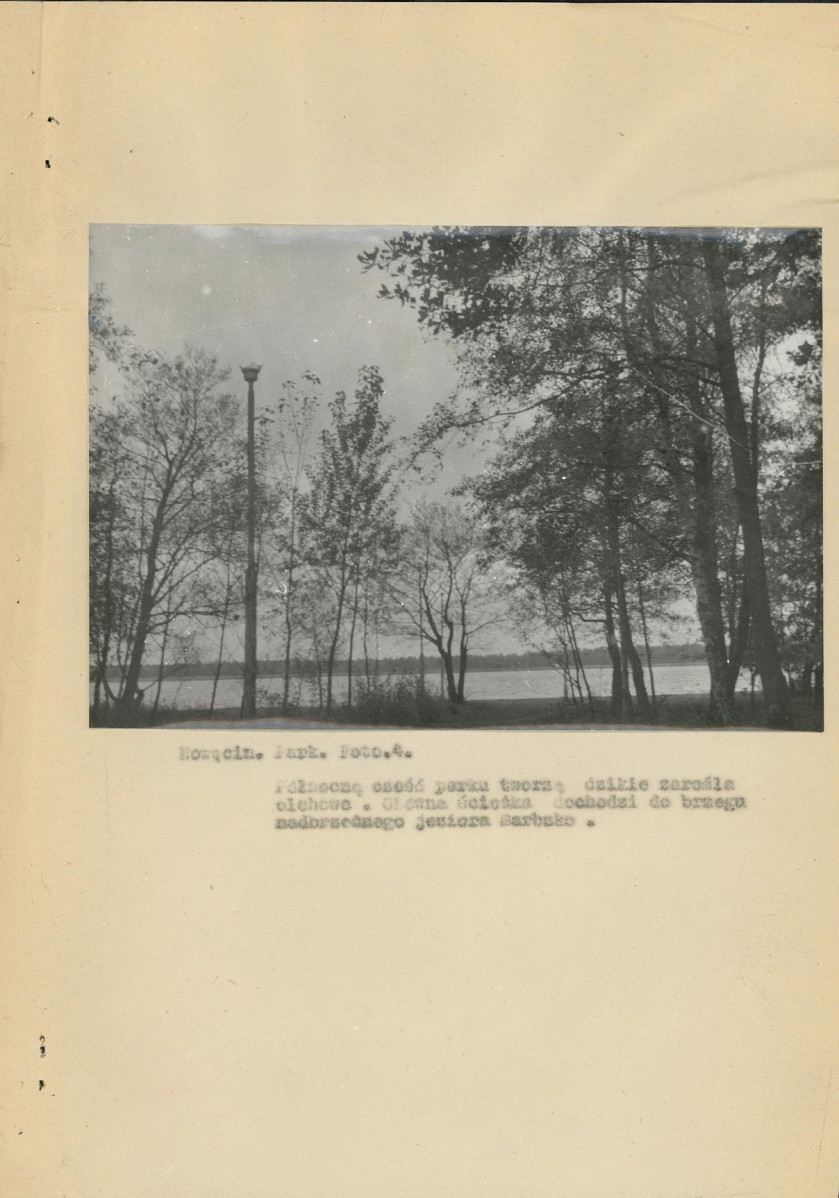 Ewidencja parkowa, skan nr 23