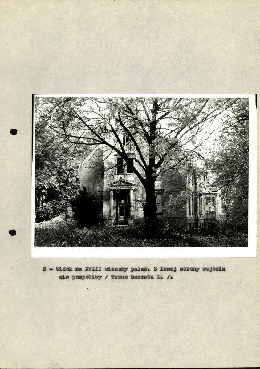 Ewidencja parkowa, skan nr 19