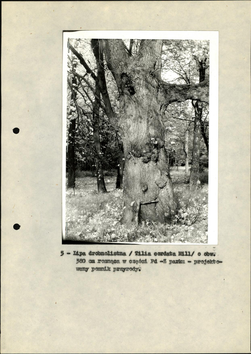 Ewidencja parkowa, skan nr 22