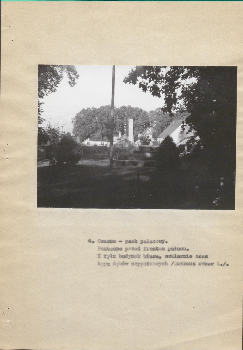 Ewidencja parkowa, skan nr 18