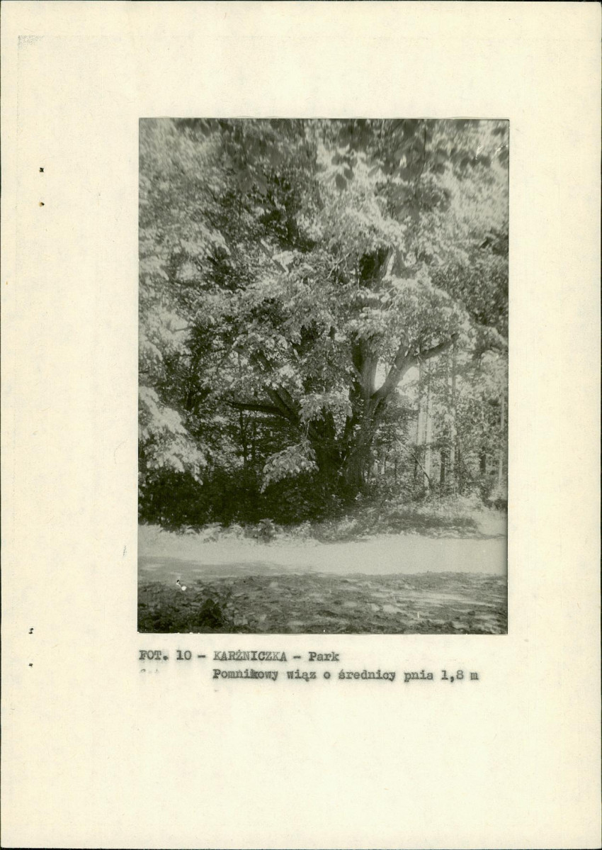 EP - Ewidencja parkowa, skan nr 21