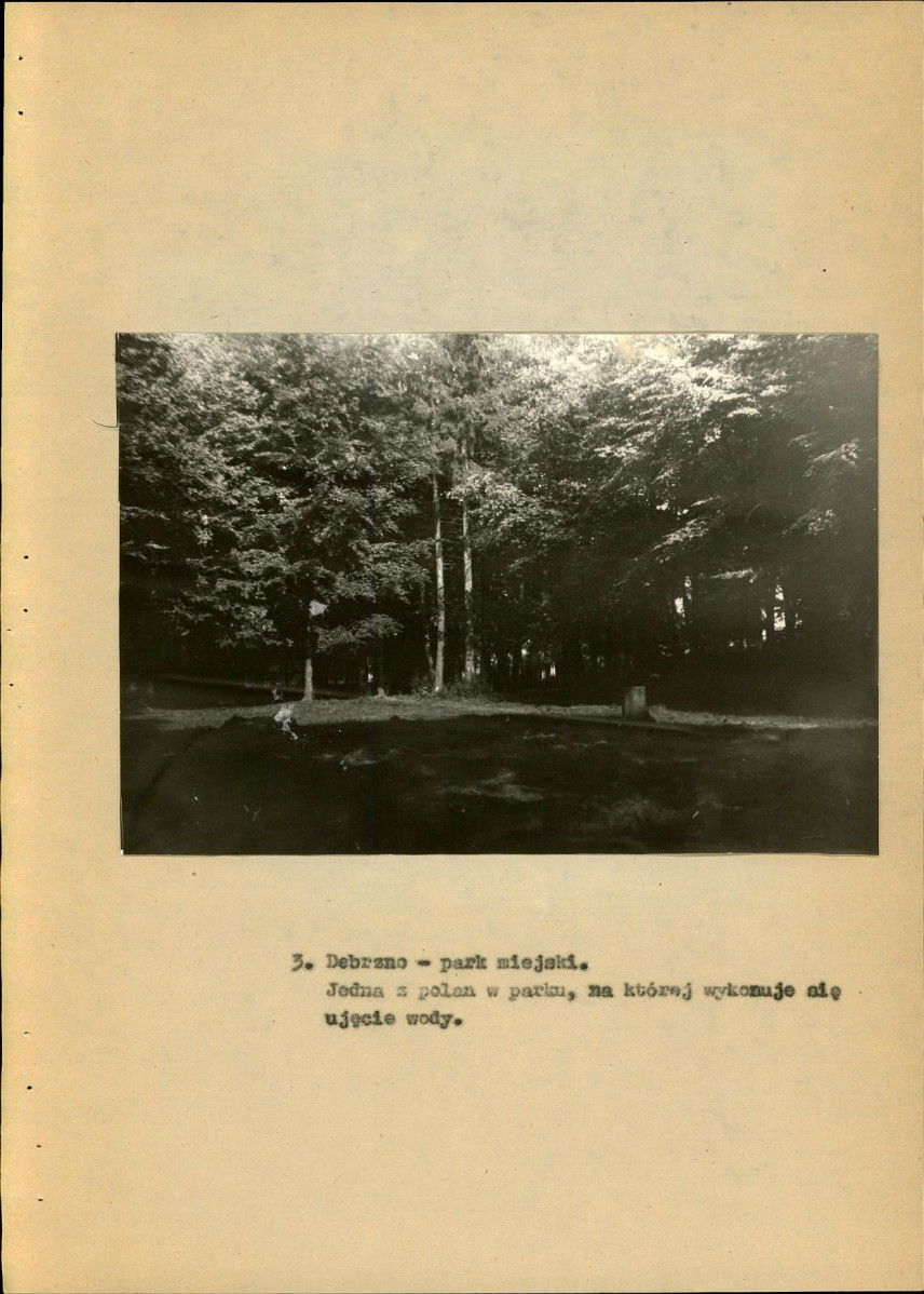 Ewidencja parkowa, skan nr 17