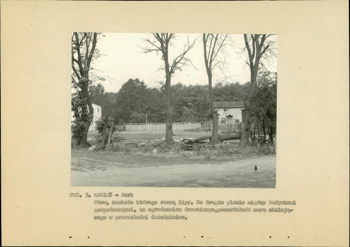 Ewidencja parkowa, skan nr 17