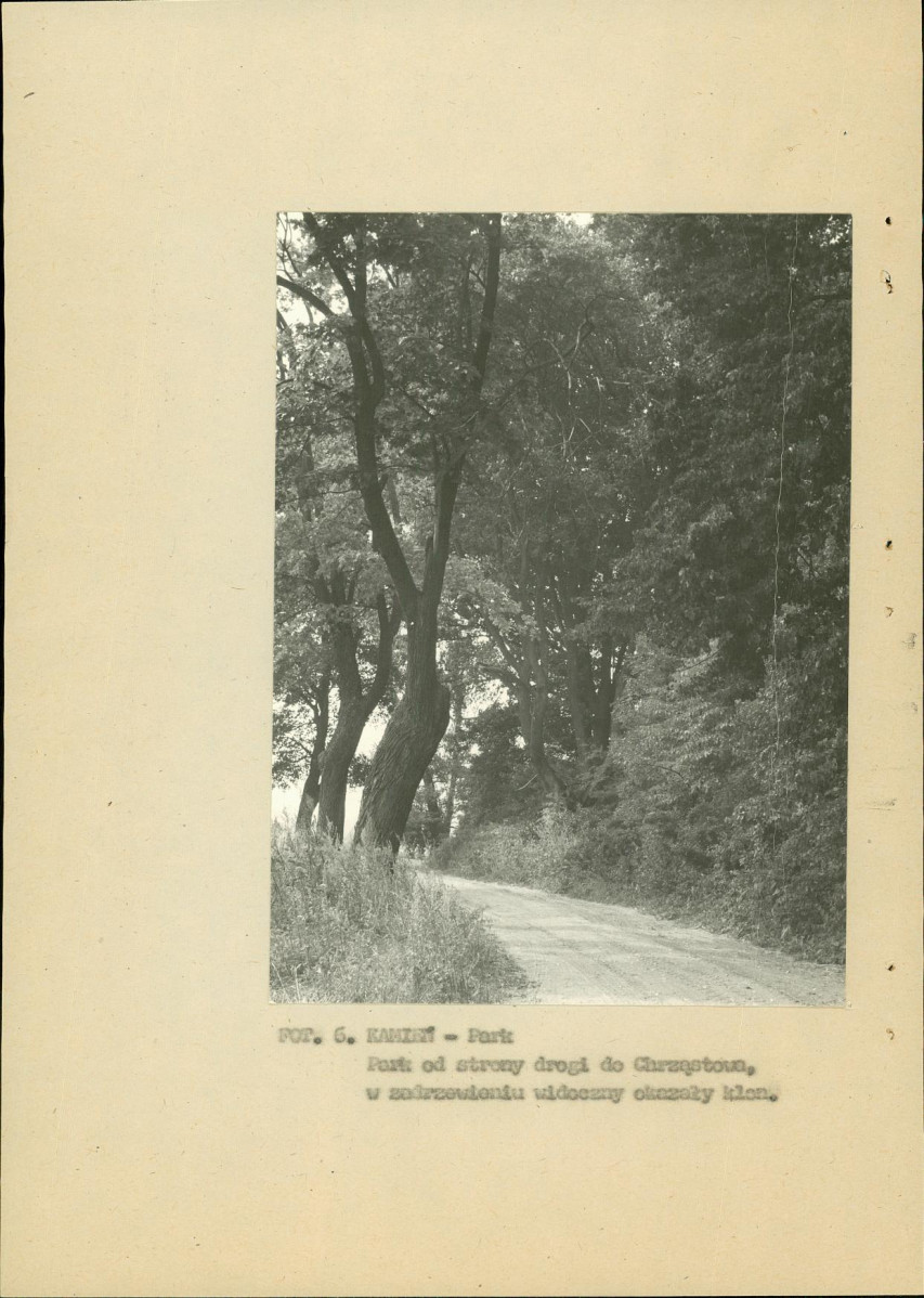 Ewidencja parkowa, skan nr 20