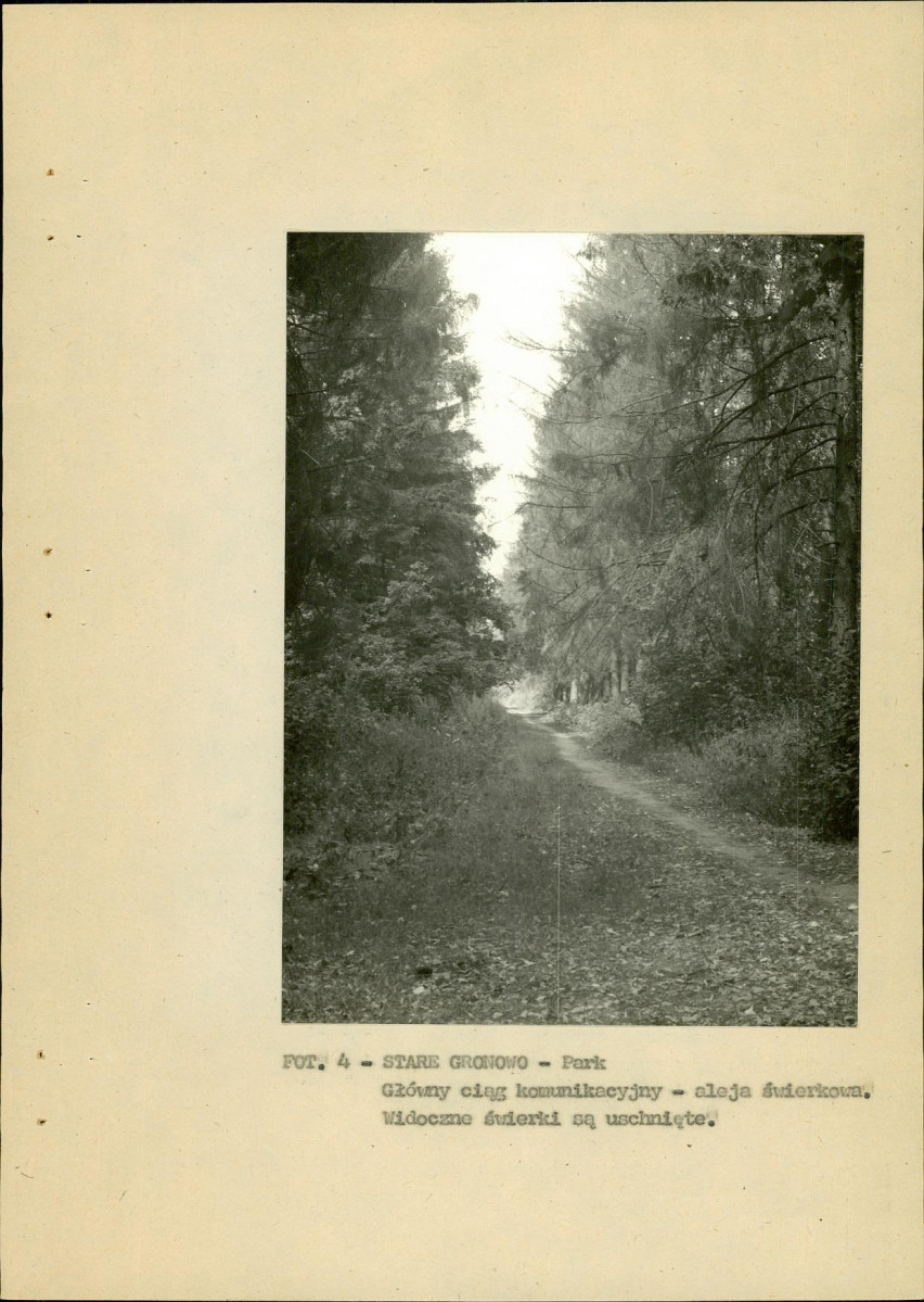 Ewidencja parkowa, skan nr 27