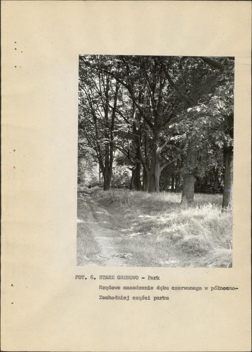 Ewidencja parkowa, skan nr 29