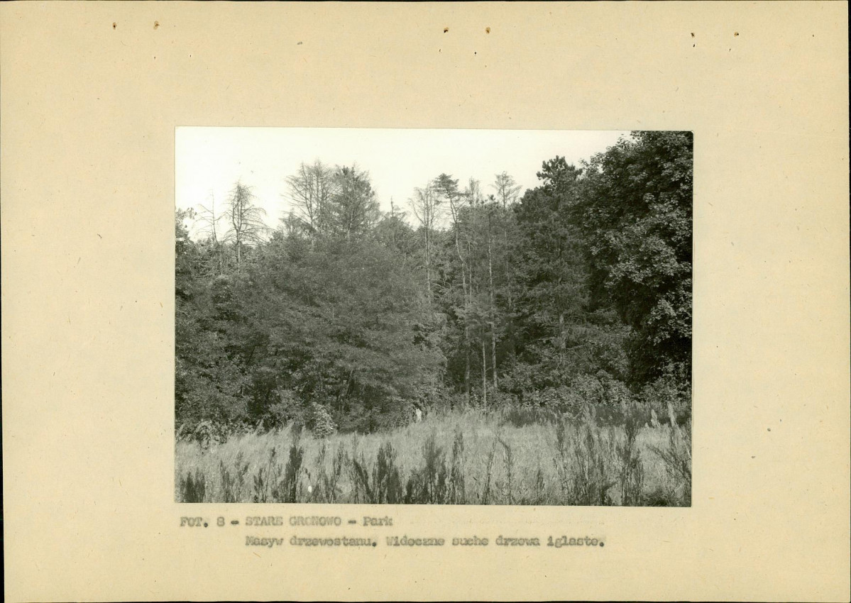 Ewidencja parkowa, skan nr 31