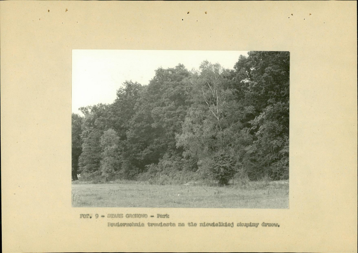Ewidencja parkowa, skan nr 32